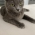 Lucy