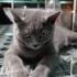 Beton
