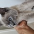 Casper