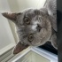 Pablo