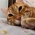 Hamza