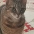 Von