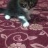 Eddy