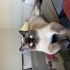 Chuaky