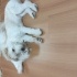 Ares