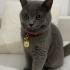 Umur