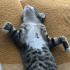 Tuki