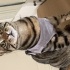 Maru