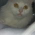 Lucy