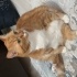 Porti