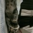 Paty
