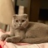 Firuze