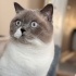 Kiki