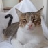 Pamuk