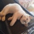 Ares