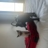 Ponçik ve Zeytin