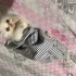 Maskot