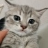 Puti