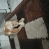 Leyd