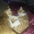MİKE VE TYSON