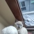 Casper
