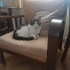 Charlie