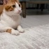 Salvador