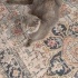Duman