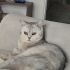 Dorin