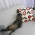 Romeo