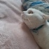 Casper