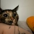 Hera