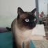 Leon