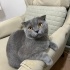 CARLOS
