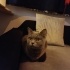 Hera