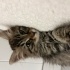 Lucy