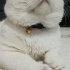 PAMUK