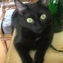 Zeytin
