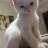 Casper