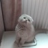 Hugo
