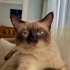 Chuky