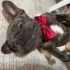 Ares