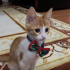 Moti