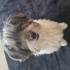 Cooper