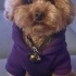 Molly