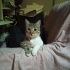 Ares
