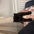 Teddy