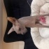 Lila
