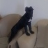 Ares