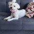 Mila